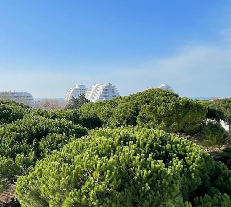 Les Jardins Du Couchant * Proche Mer * Climatisation * Parking Prive La Grande-Motte Exterior foto